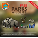 parks-3.jpg